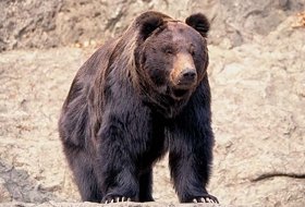 Japan Hokkaido trip iki Travels Japan Hokkaido trip iki Travels