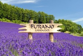 Japan Hokkaido trip iki Travels Japan Hokkaido trip iki Travels