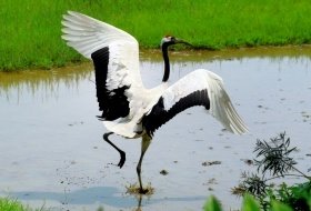 Japan Hokkaido trip iki Travels Japan Hokkaido trip iki Travels