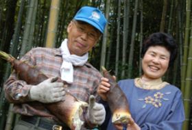 kleurrijk japan reis usuki homestay iki Travels kleurrijk japan reis usuki homestay iki Travels