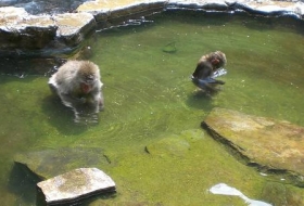 traditioneel Japan reis yudanaka iki Travels traditioneel Japan reis yudanaka iki Travels