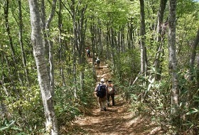 reis Japan Shinetsu trail wandeltocht iki Travels reis Japan Shinetsu trail wandeltocht iki Travels