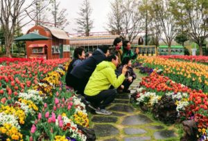 Zuid-Korea Suncheon Bay National Garden