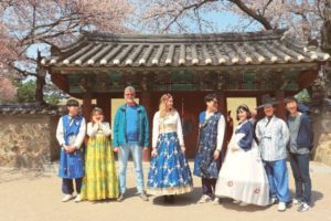 Zuid-Korea Gyeongju Daereungwon cherry blossoms