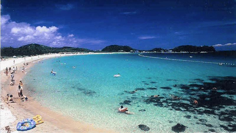 Nieuwsbrief lente 2018