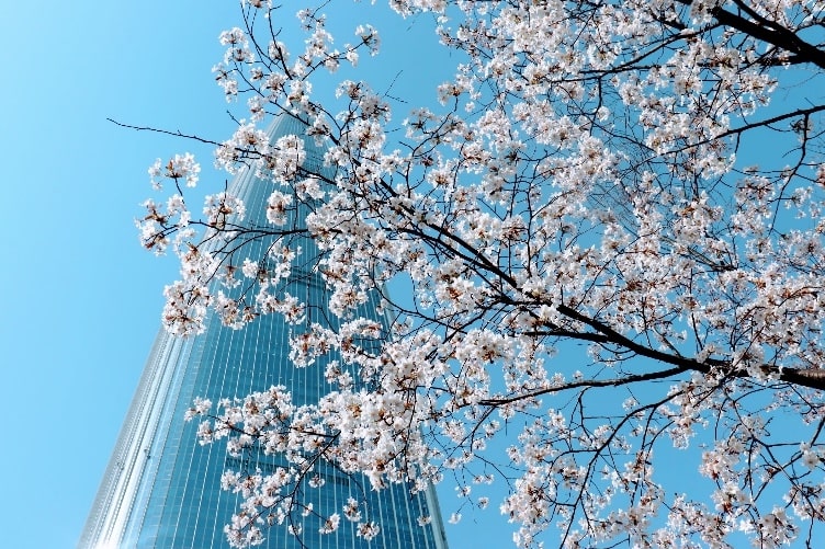 Zuid-Korea Seoul Lotte tower