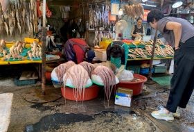 Zuid Korea Busan Vismarkt