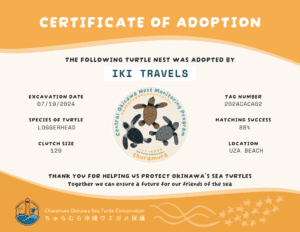 iki Travels certificaat zeeschildpaddennest